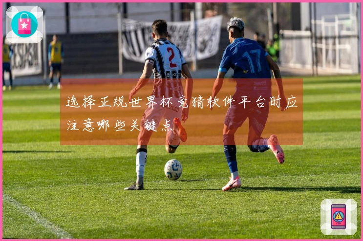 选择正规世界杯竞猜软件平台时应注意哪些关键点