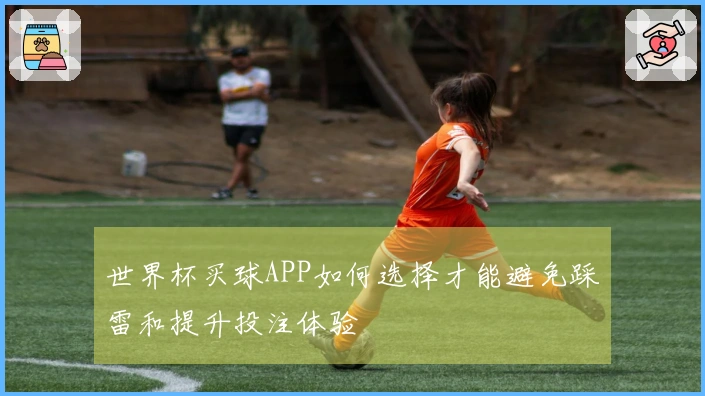 世界杯买球APP如何选择才能避免踩雷和提升投注体验